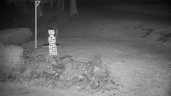 Běžecký lyžařský areál Nová Ves - horní část