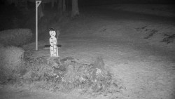 Běžecký lyžařský areál Nová Ves - horní část