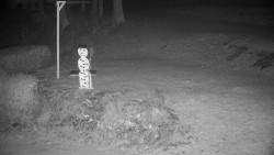 Běžecký lyžařský areál Nová Ves - horní část