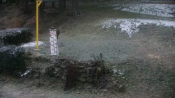 Běžecký lyžařský areál Nová Ves - horní část