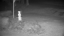 Běžecký lyžařský areál Nová Ves - horní část