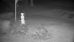 Běžecký lyžařský areál Nová Ves - horní část