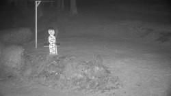 Běžecký lyžařský areál Nová Ves - horní část