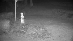 Běžecký lyžařský areál Nová Ves - horní část