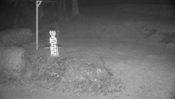 Běžecký lyžařský areál Nová Ves - horní část