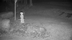 Běžecký lyžařský areál Nová Ves - horní část