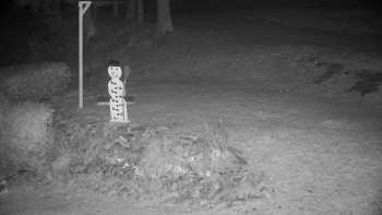 Snímek 21.11.2025 v 04:00