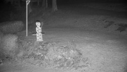 Běžecký lyžařský areál Nová Ves - horní část