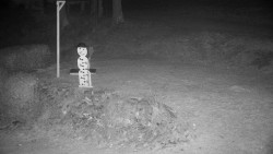 Běžecký lyžařský areál Nová Ves - horní část