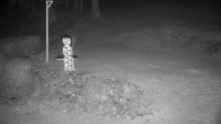 Běžecký lyžařský areál Nová Ves - horní část