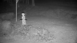 Běžecký lyžařský areál Nová Ves - horní část