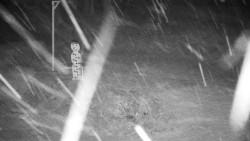 Běžecký lyžařský areál Nová Ves - horní část