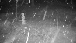 Běžecký lyžařský areál Nová Ves - horní část