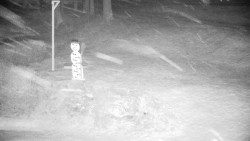 Běžecký lyžařský areál Nová Ves - horní část