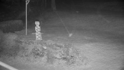 Běžecký lyžařský areál Nová Ves - horní část