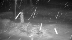 Běžecký lyžařský areál Nová Ves - horní část