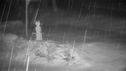 Běžecký lyžařský areál Nová Ves - horní část