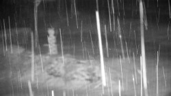 Běžecký lyžařský areál Nová Ves - horní část