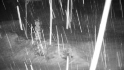 Běžecký lyžařský areál Nová Ves - horní část