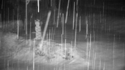 Běžecký lyžařský areál Nová Ves - horní část