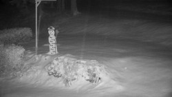 Běžecký lyžařský areál Nová Ves - horní část