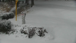 Běžecký lyžařský areál Nová Ves - horní část