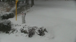 Běžecký lyžařský areál Nová Ves - horní část