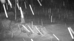 Běžecký lyžařský areál Nová Ves - horní část