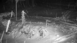 Běžecký lyžařský areál Nová Ves - horní část