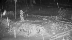 Běžecký lyžařský areál Nová Ves - horní část