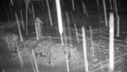 Běžecký lyžařský areál Nová Ves - horní část