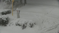 Běžecký lyžařský areál Nová Ves - horní část