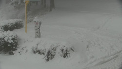 Běžecký lyžařský areál Nová Ves - horní část