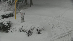 Běžecký lyžařský areál Nová Ves - horní část