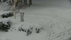 Běžecký lyžařský areál Nová Ves - horní část