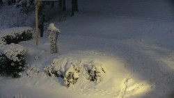 Běžecký lyžařský areál Nová Ves - horní část