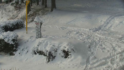 Běžecký lyžařský areál Nová Ves - horní část