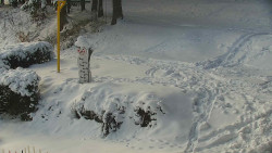 Běžecký lyžařský areál Nová Ves - horní část