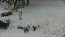 Běžecký lyžařský areál Nová Ves - horní část