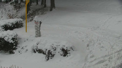 Běžecký lyžařský areál Nová Ves - horní část