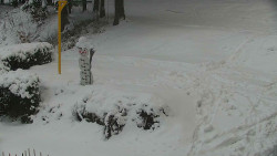 Běžecký lyžařský areál Nová Ves - horní část