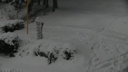 Běžecký lyžařský areál Nová Ves - horní část