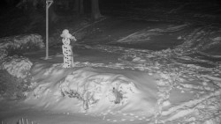 Běžecký lyžařský areál Nová Ves - horní část