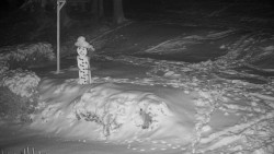 Běžecký lyžařský areál Nová Ves - horní část