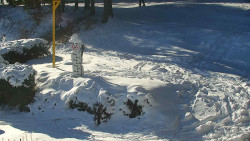 Běžecký lyžařský areál Nová Ves - horní část