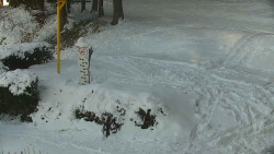 Běžecký lyžařský areál Nová Ves - horní část