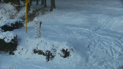 Běžecký lyžařský areál Nová Ves - horní část