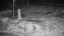 Běžecký lyžařský areál Nová Ves - horní část