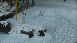 Běžecký lyžařský areál Nová Ves - horní část