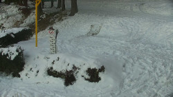 Běžecký lyžařský areál Nová Ves - horní část